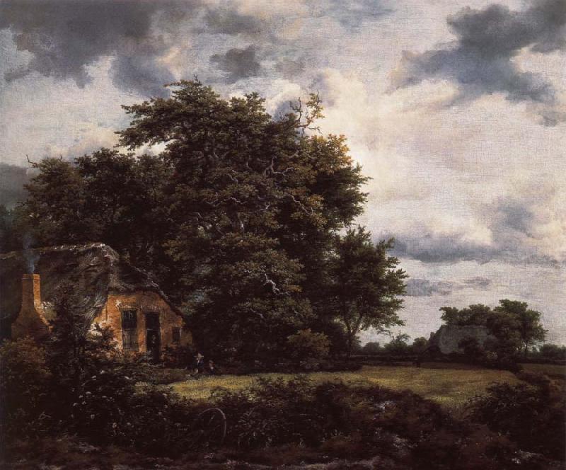  Cottage under the trees near a Grainfield
